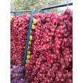 Wholesale Premium Grade New Crop Mesh 100% Natural Fresh Red Onion